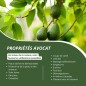 Organic Avocado Oil