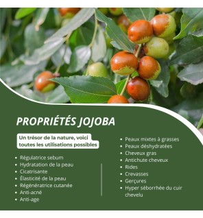 Huile de Jojoba Bio | Peau, Cheveux et Soin du Corps