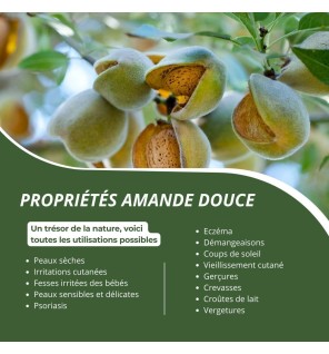 Huile d'Amande Douce Bio | Peau, Cheveux et Massage