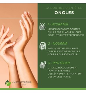 Huile d'Amande Douce Bio | Peau, Cheveux et Massage