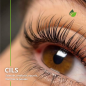 Huile de Nigelle Bio (Cumin Noir)