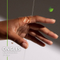 Huile d’Avocat Bio