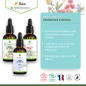 Hair Growth Oil Pack - Stimulate and Strengthen Hair Growth with 100% Organic Care