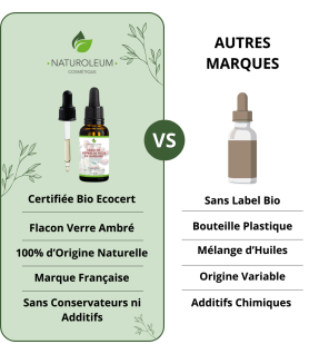 Organic Prickly Pear Seed Oil | Premium Quality Cactus Oil
