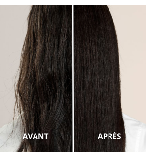 Organic Argan Oil | Skin, Hair, and Body Care