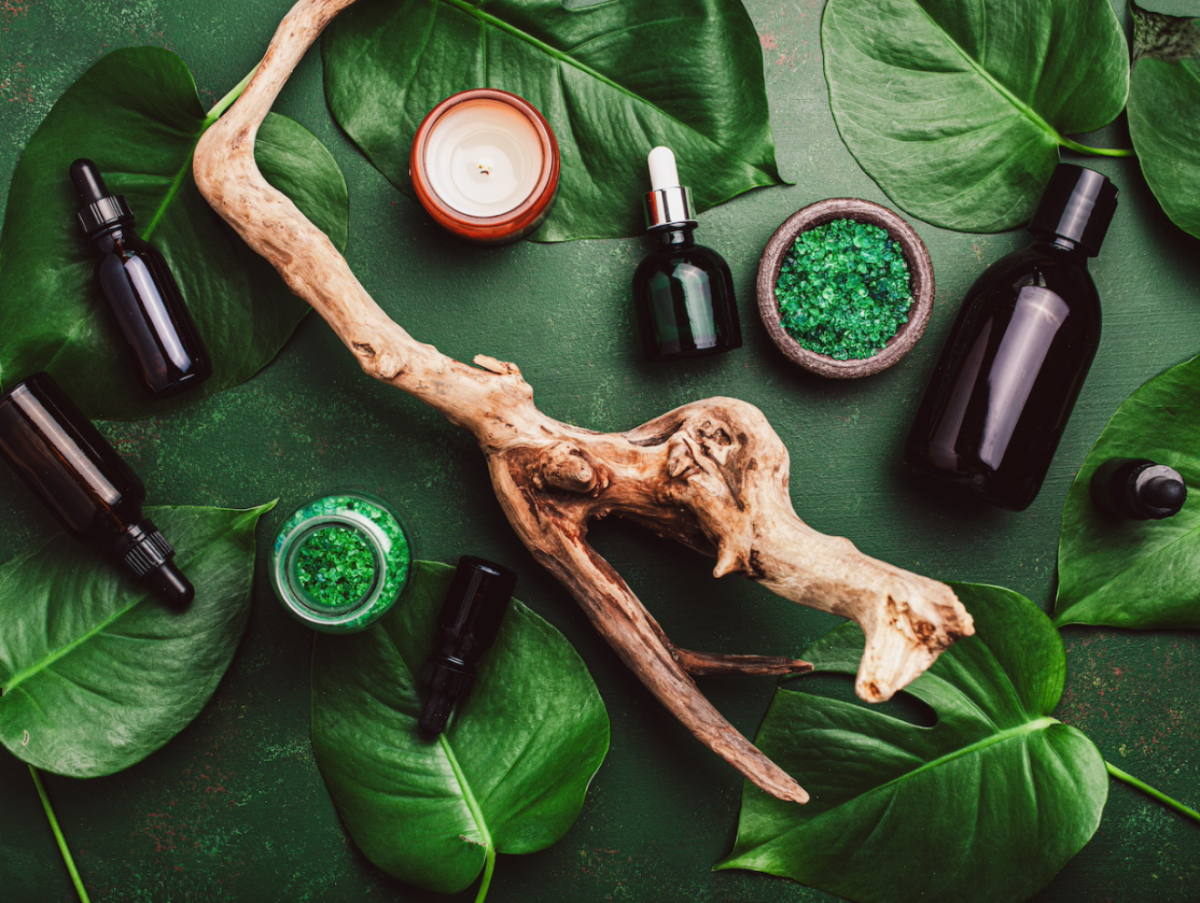 La Semaine de la Cosmétique Bio chez Naturoleum : Célébrons la beauté au naturel !