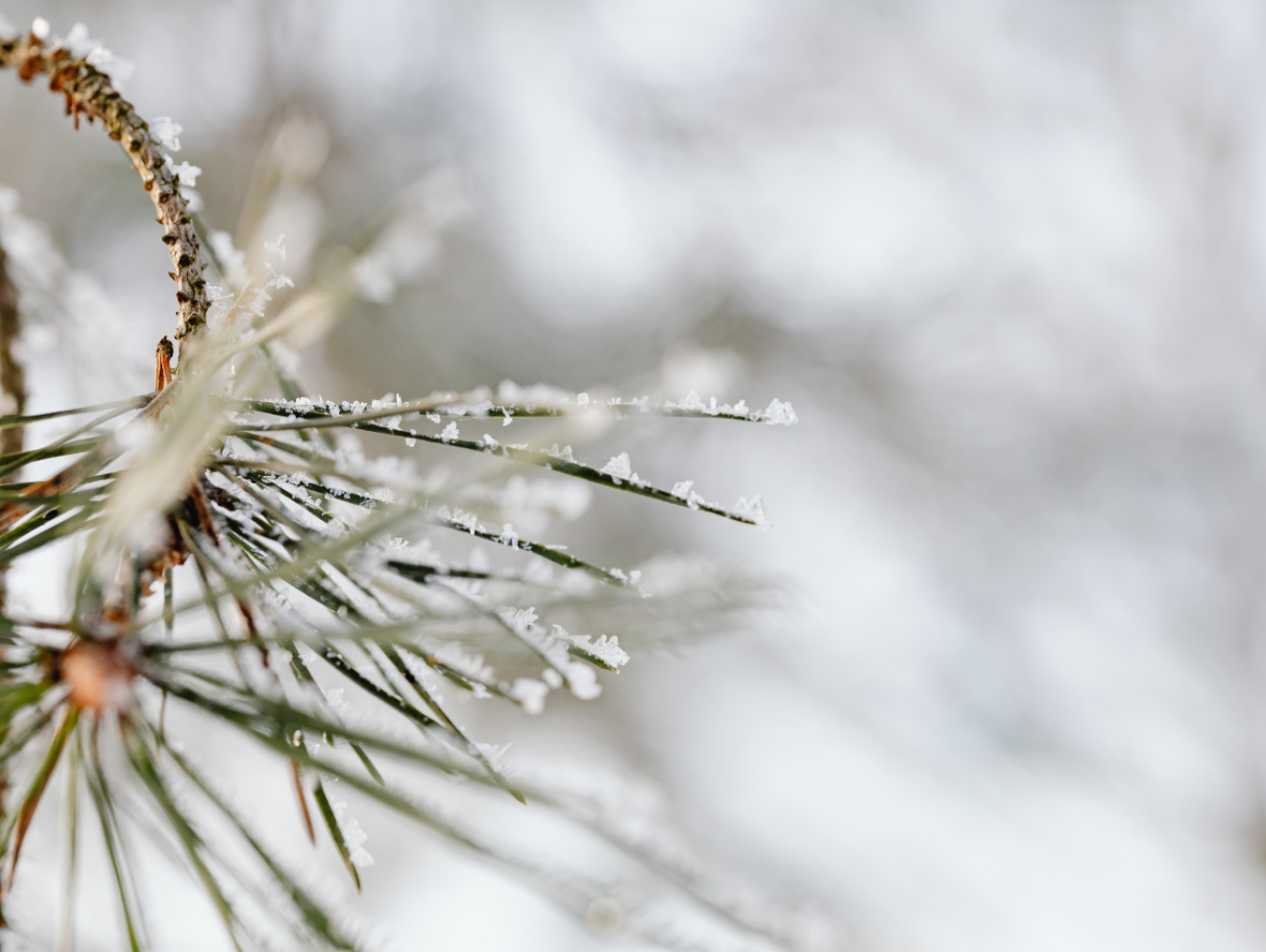 How can you adapt your oil routine to the seasons?