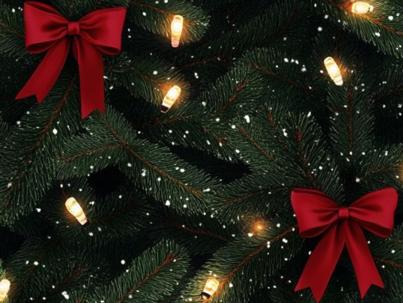 Christmas: give the gift of organic beauty to your loved ones